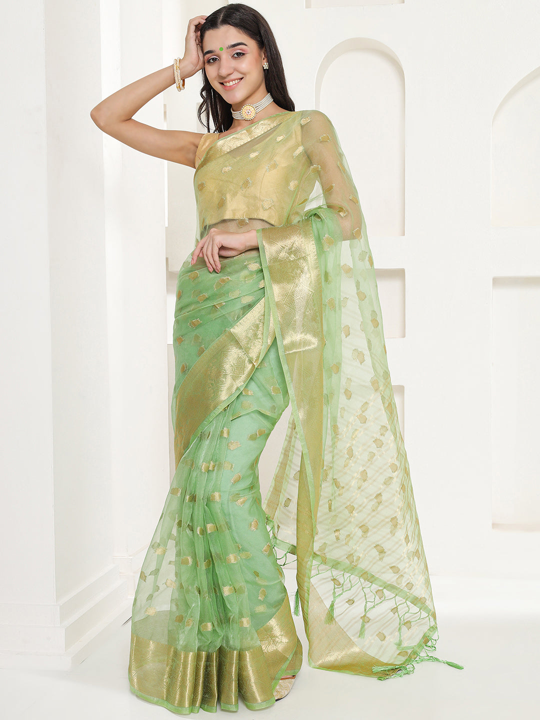 Banarasi Woven Organza Saree - Pistachio Green