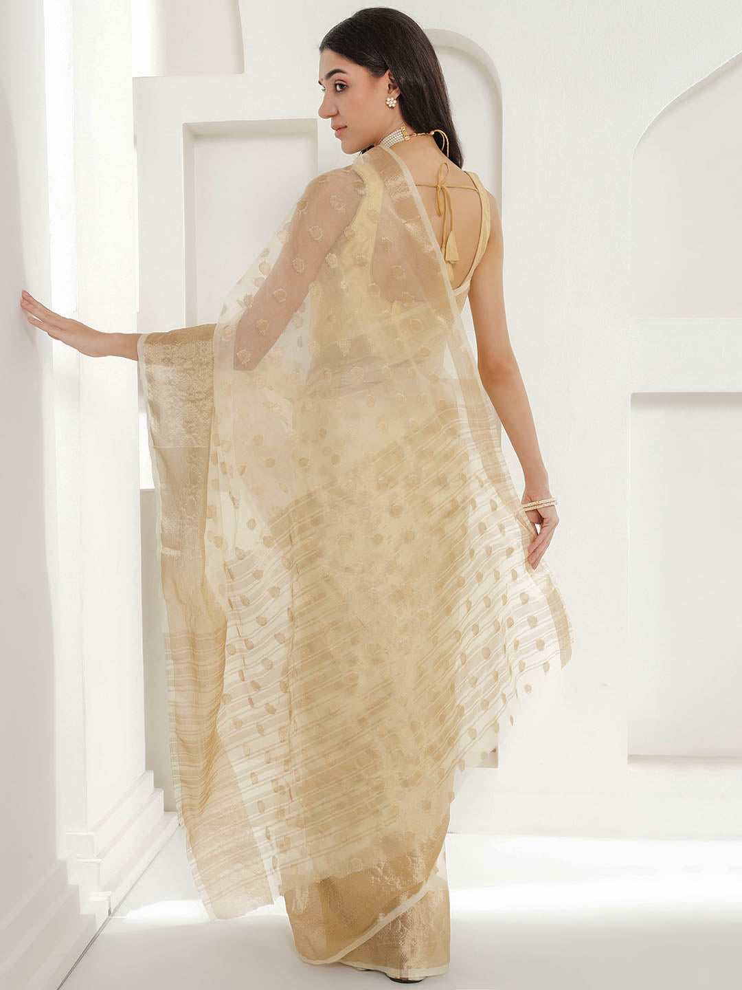 Banarasi Woven Organza Saree - Beige