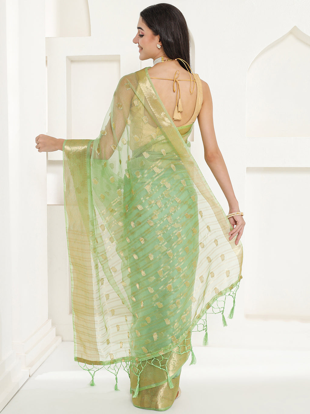 Banarasi Woven Organza Saree - Pistachio Green