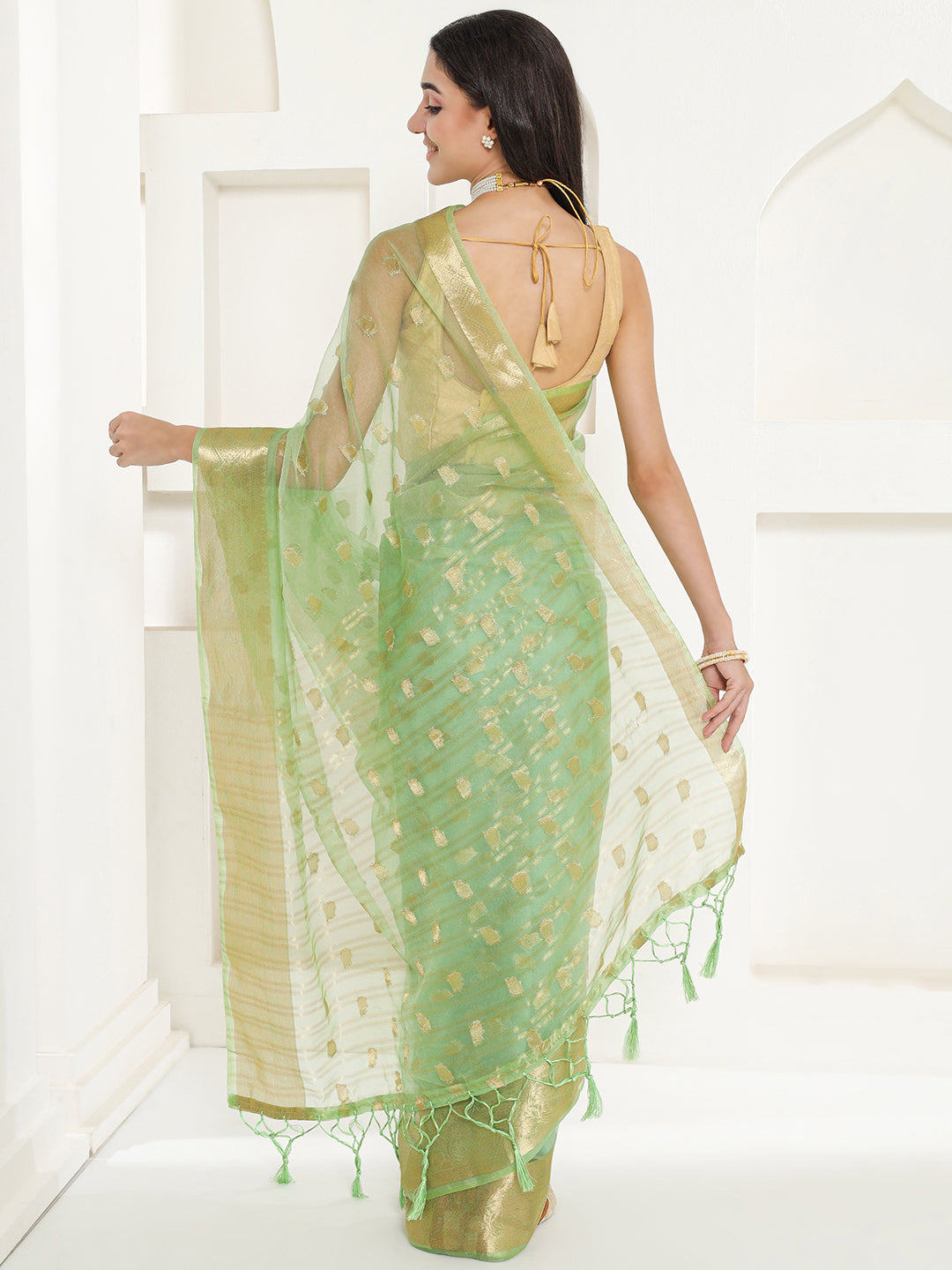 Banarasi Woven Organza Saree - Pistachio Green