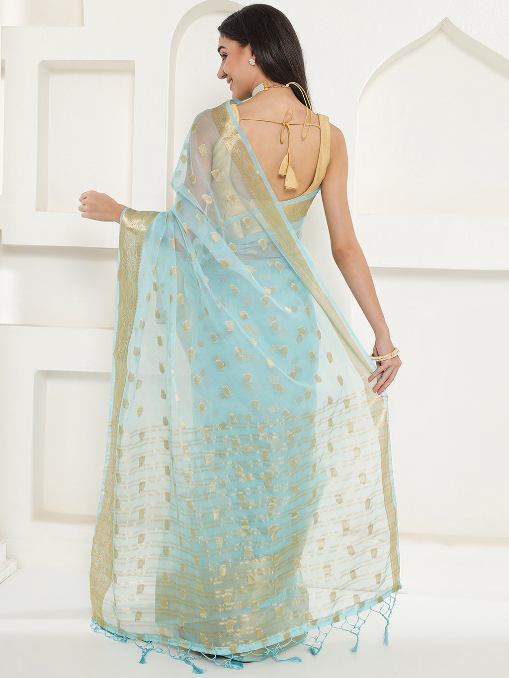 Banarasi Woven Organza Saree - Arctic Blue