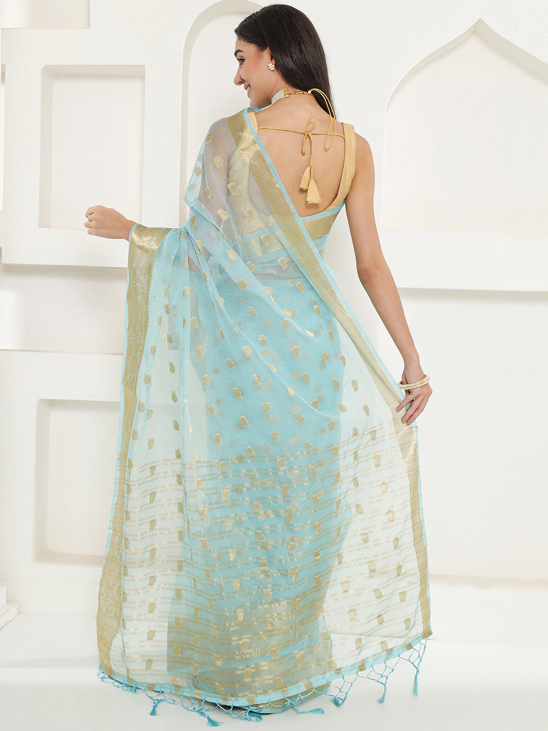 Banarasi Woven Organza Saree - Arctic Blue