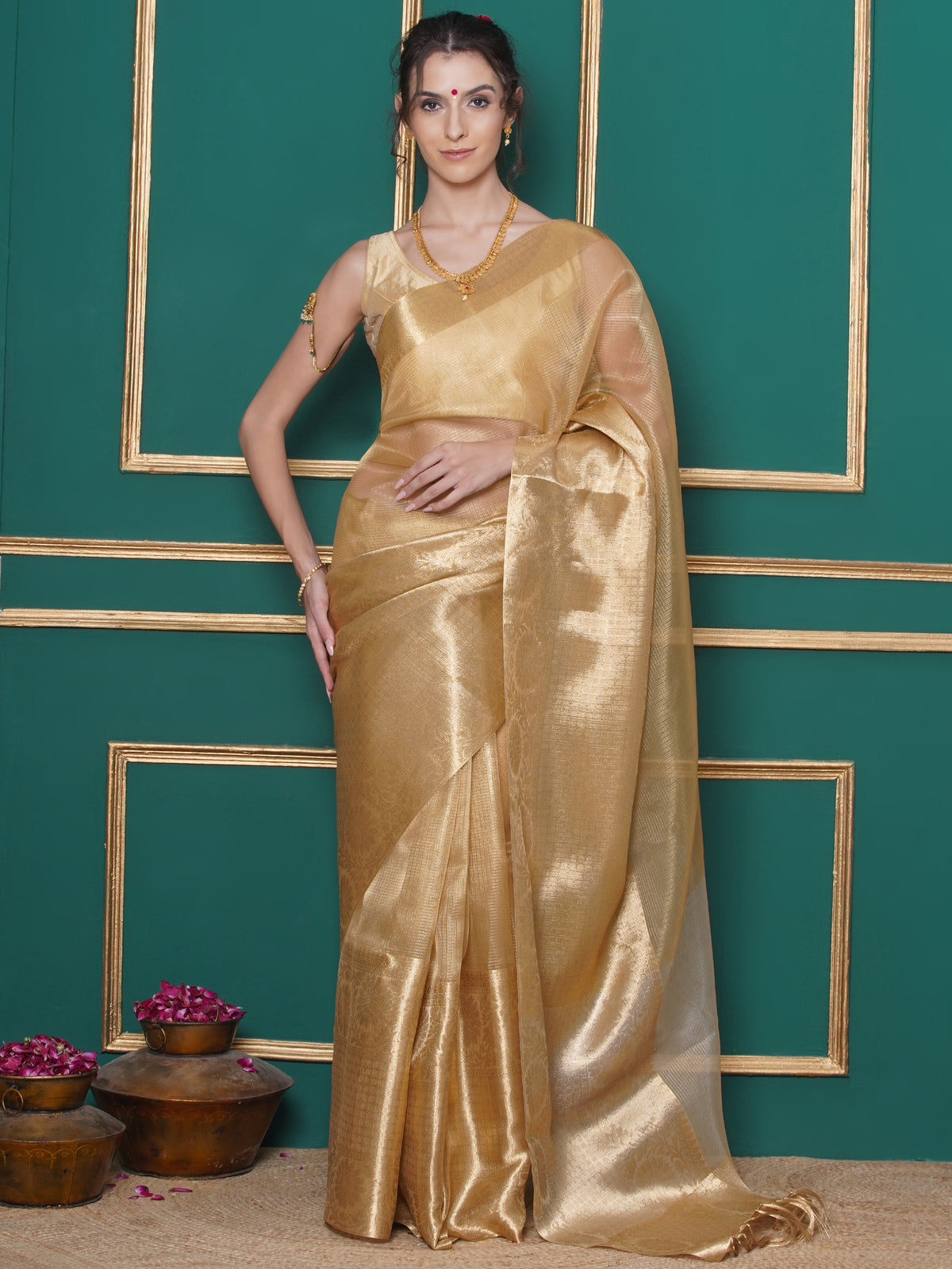 Banarasi Tissue Saree with Broad Border - Golden