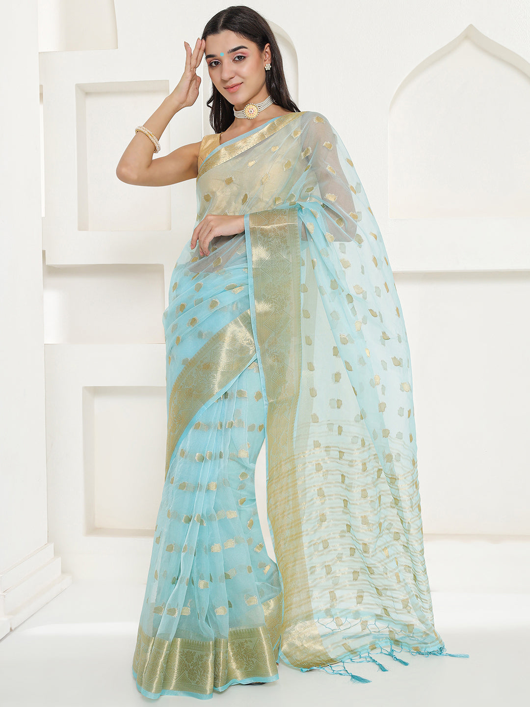 Banarasi Woven Organza Saree - Arctic Blue
